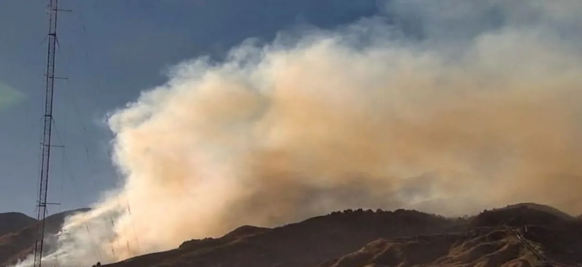 Al menos tres incendios forestales están activos en Bolivia; Gobierno pide investigación