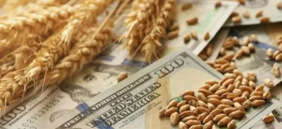 Dólar en ascenso: de Bs 11,92 a Bs 12,32 en una semana y crece la alerta por alimentos e inflación