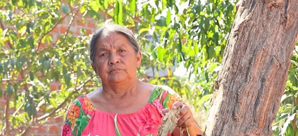 Medicina ancestral y bioeconomía: mujeres de Santiago de Chiquitos protegen el bosque y preservan sus saberes