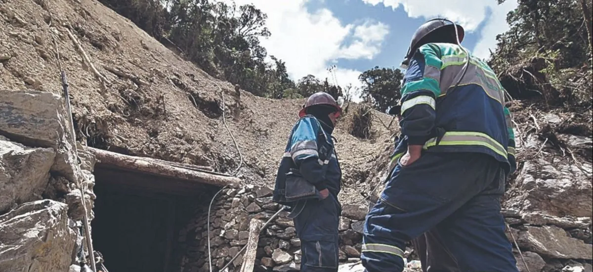 Estalla la fiebre del oro en Nor Yungas con desmontes y aguas contaminadas
