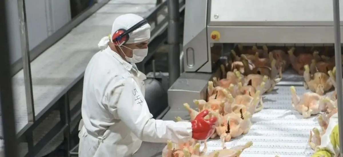 El consumo de carne de pollo en Argentina supera por primera vez al de carne de res