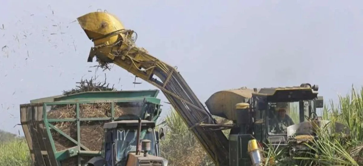Necesitamos saber cuánto, dónde y qué producimos: la base del Censo Agropecuario 2026