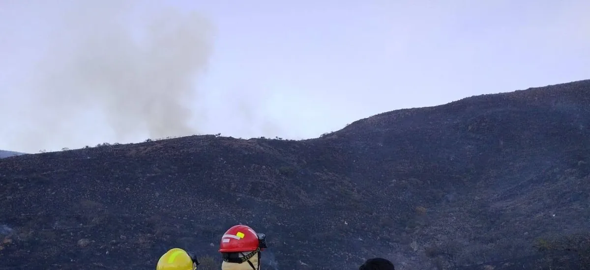 Siniestro forestal dejó sin agua potable a una comunidad de Tarija