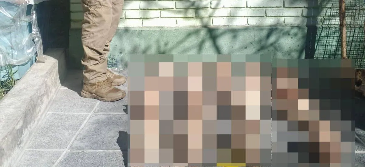 Hallan 25 cráneos en un basurero y se investiga si son de perros