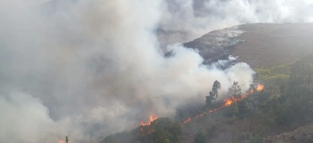 Cochabamba: mantienen monitoreo tras control de incendio forestal en Pocona