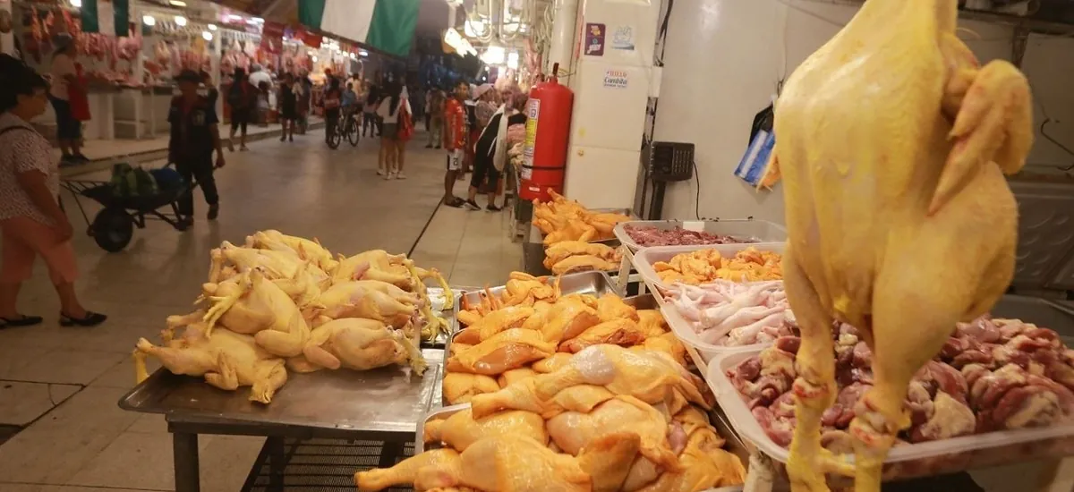 Tras fin del subsidio al diésel, avicultores anticipan incremento en el precio del pollo