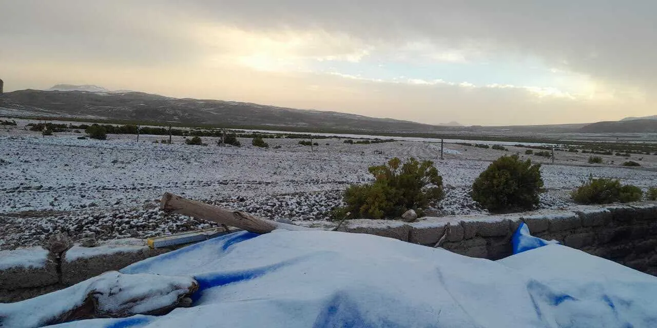 Nevadas afectan a 82.728 familias, lluvias e inundaciones a 11.144; Defensa Civil monitorea para atender emergencias