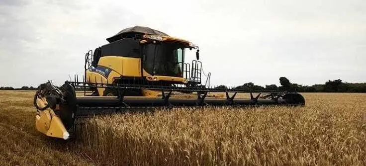 Anapo: el DS 5676 castiga al pequeño productor, motiva más al desvío de diésel y subirá el precio de los alimentos