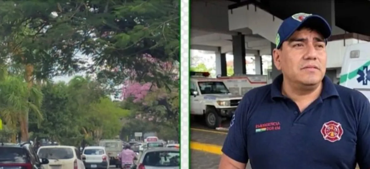 Santa Cruz: Emergencias municipales atiende caídas de árboles y pide extremar precauciones