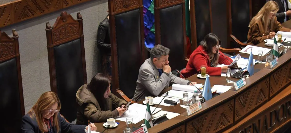 El Senado sesiona este viernes con la ley del crédito del FMI en la mesa