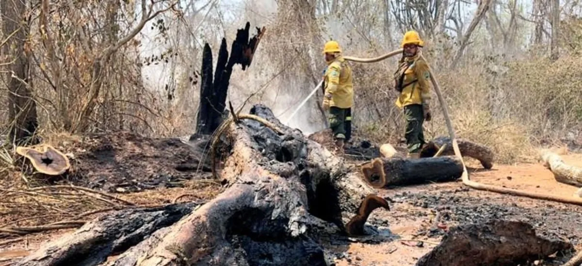 Riesgo de incendios forestales crece en Santa Cruz; este jueves hay 700 focos de calor activos
