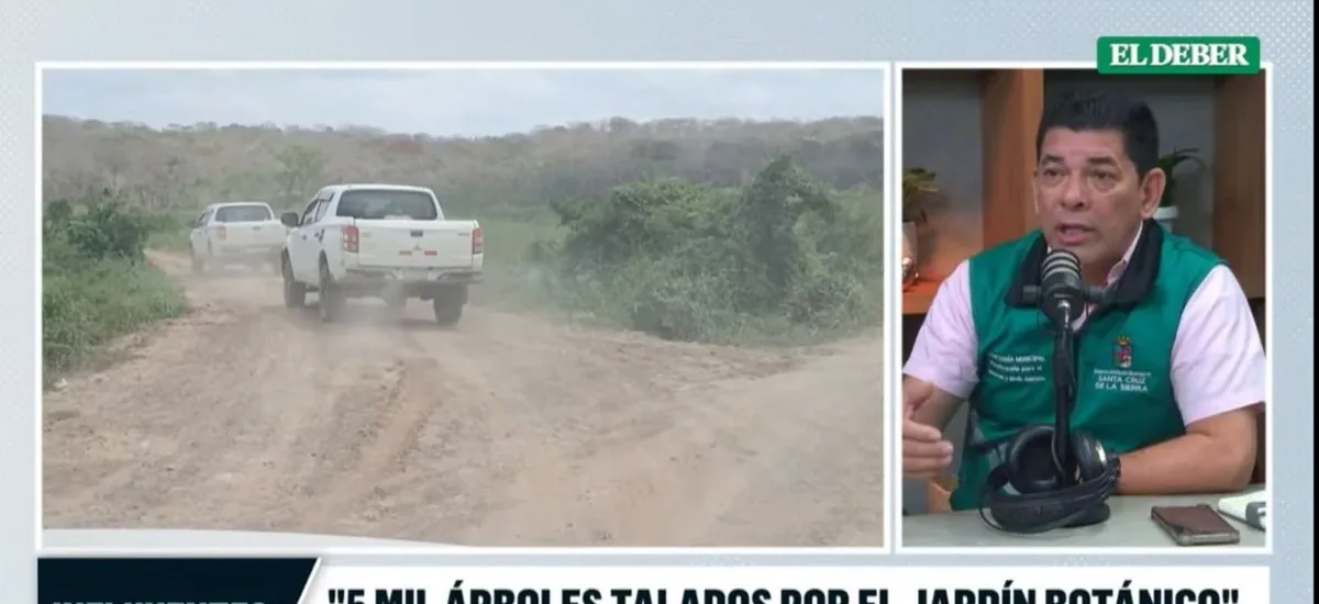 ¡Daño medioambiental! Alcaldía cruceña denuncia la tala de cerca de 5.000 árboles