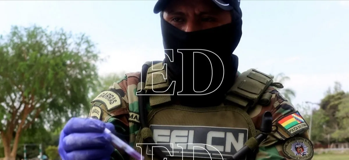 Incautan más de 1,2 toneladas de marihuana ocultas en un camión que iba a Brasil