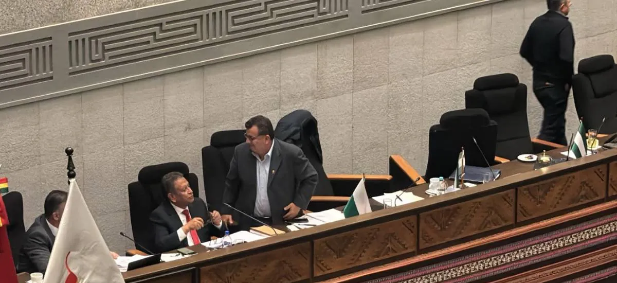 ALP: Se reinstala la sesión tras cuarto intermedio para debatir la ampliación del Estado de excepción