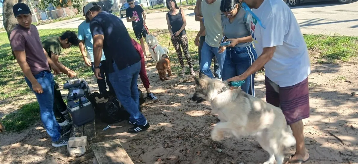 Tras confirmar un caso de rabia canina en Santa Cruz, el Sedes activa un operativo epidemiológico