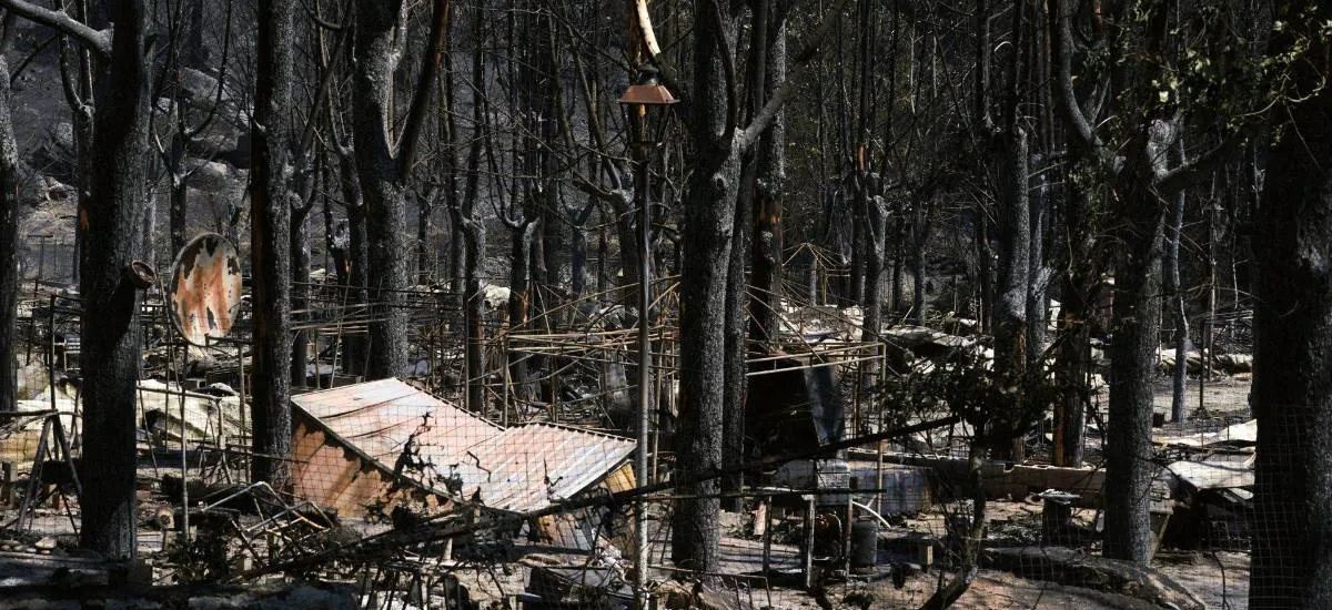 El incendio de Ávila ha quemado 50.000 hectáreas, el mayor fuego de la historia de España