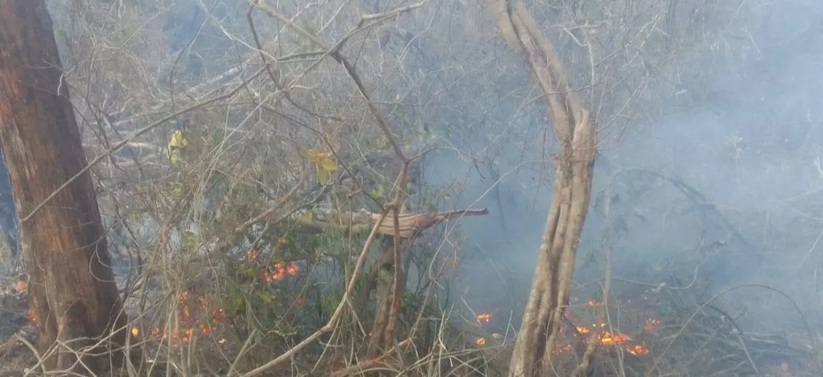 Reportan un incendio forestal en la comunidad Peñas Altas, de San Ignacio de Velasco