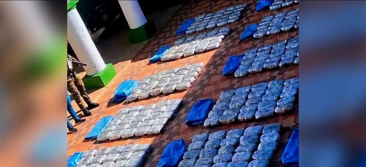 Revocan medidas sustitutivas y envían a la cárcel a dueño de media tonelada de marihuana