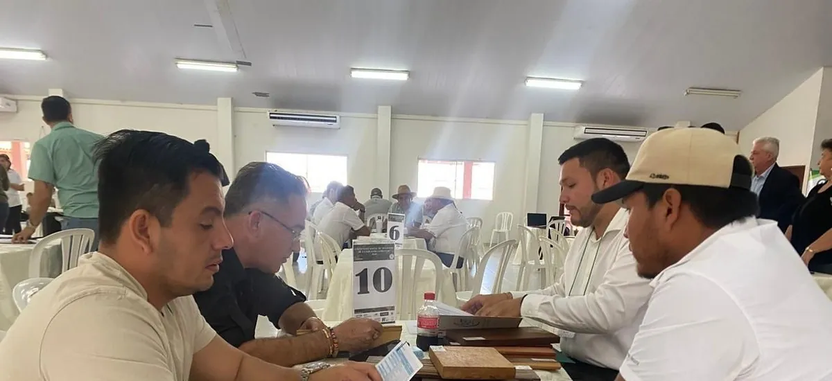 Concepción mueve la economía forestal: el Encuentro Social Forestal cierra con una intención de negocios de $us 3,5 millones