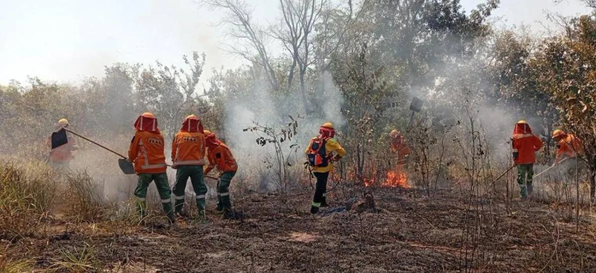 Municipios de Santa Cruz en emergencia por incendios y movilizan a 76 personas